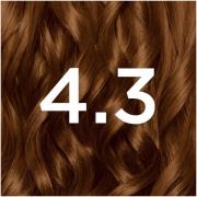 Garnier Nutrisse Permanent Hair Dye (forskellige nuancer) - 4.3 Dark Golden Brown (Davina's Shade)