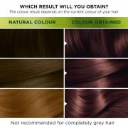 Garnier Nutrisse Permanent Hair Dye (forskellige nuancer) - 5.25 Ultra Chestnut Brown