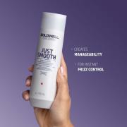 Goldwell Dualsenses Just Smooth Taming Shampoo 250ml