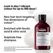 L'Oréal Professionnel Vitamino Color Spectrum Shampoo 300ml and Rinse Off Hair Mask 250ml Bundle for Coloured Hair