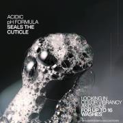 Redken Acidic Color Gloss Shampoo Mini 75ml, Activated Glass Gloss Treatment 237ml and Conditioner Mini 50ml