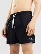 Oakley Clear Lake 16"Volley Boardshorts sort