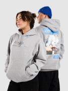 RIPNDIP A Bird Hættetrøje grå