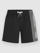 O'Neill Retro 14'' Boardshorts sort