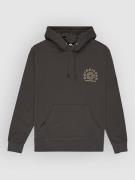 Quiksilver Salt Water Graphic Hættetrøje grå