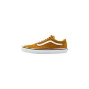 Farvet Teori Old Skool Sneakers