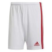 Squadra 21 Shorts