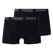 Basic Trunk 2Pack Briefs pakke