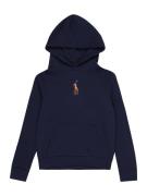 Polo Ralph Lauren Sweatshirt  mørkeblå / brun