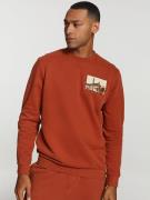 Shiwi Sweatshirt  beige / rustbrun / grøn / sort