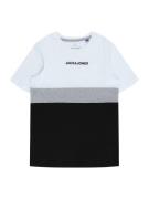 Jack & Jones Junior Shirts 'REID'  grå / sort / hvid