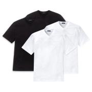 SCHIESSER Bluser & t-shirts  sort / hvid