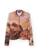 Desigual Bluse  brun / rustbrun / mørkebrun / gammelrosa