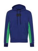 Champion Authentic Athletic Apparel Sweatshirt  mørkeblå / grøn / sort