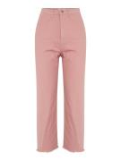 Dorothy Perkins Petite Jeans  lys pink