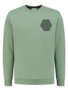 Shiwi Sweatshirt  lysegrøn / sort