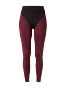 Hey Honey Sportsbukser 'Jane Fig'  bordeaux / sort / hvid