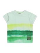 Molo Shirts 'Randon'  grøn / pastelgrøn / lysegrøn