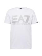 EA7 Emporio Armani Bluser & t-shirts  sølvgrå / sølv / hvid