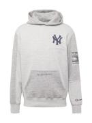 Champion Authentic Athletic Apparel Sweatshirt  navy / grå-meleret / sort / hvid