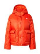 LEVI'S ® Vinterjakke 'Luna Core Puffer Short'  neonorange / hvid