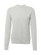 SELECTED HOMME Pullover 'Dane'  lysegrå