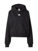 Nike Sportswear Sweatshirt 'ACG'  grå / sort / hvid