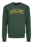 Jack & Jones Junior Sweatshirt 'Josh'  curry / mørkegrøn