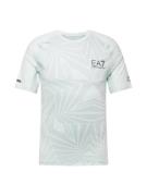 EA7 Emporio Armani Funktionsskjorte  grå / antracit / mint