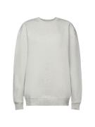 ESPRIT Sweatshirt  lysegrå