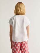 Scalpers Bluser & t-shirts 'Zigzag Skull'  grå / laks / pink / hvid