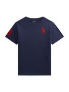 Polo Ralph Lauren Shirts  navy / rød
