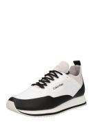 Calvin Klein Sneaker low  lysegrå / sort / hvid
