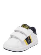 Polo Ralph Lauren Sneakers 'HERITAGE'  navy / gul / grøn / hvid