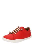CAMPER Sneakers 'PEU'  brun / rød / hvid