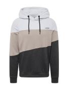 Ragwear Sweatshirt 'THRES'  beige / lysegrå / mørkegrå / sort