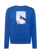 WESTMARK LONDON Sweatshirt  blå / lyseblå / mørkeblå / hvid