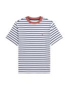 Polo Ralph Lauren Shirts  royalblå / lys rød / offwhite