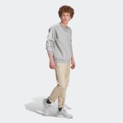 ADIDAS ORIGINALS Sweatshirt 'Adicolor Classics 3-Stripes'  grå-meleret / hvid