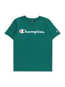 Champion Authentic Athletic Apparel Shirts  navy / mørkegrøn / knaldrød / hvid