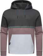Ragwear Sweatshirt  lysegrå / lysviolet / sort