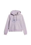 Superdry Sweatshirt  lilla / lilla