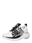 STEVE MADDEN Sneaker low 'Elevate 1'  sort / hvid