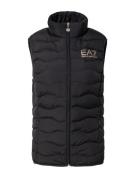 EA7 Emporio Armani Vest  guld / sort