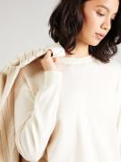 ARMEDANGELS Pullover 'LARUNAA'  ecru