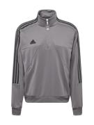 ADIDAS SPORTSWEAR Sportsweatshirt 'TIRO'  mørkegrå / sort