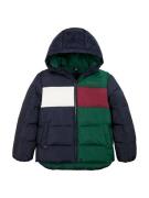 TOMMY HILFIGER Overgangsjakke  marin / mørkegrøn / rød / hvid