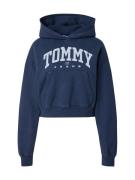 Tommy Jeans Sweatshirt  natblå / dueblå