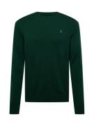 Polo Ralph Lauren Pullover  gran