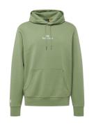 Polo Ralph Lauren Sweatshirt  grøn / hvid